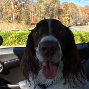 Meet your Posher, Julie